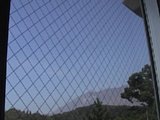 0608160900.jpg