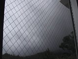 0608181200.jpg