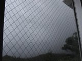 0608181500.jpg