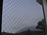 0608200900.jpg