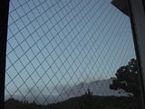 0608230600.jpg
