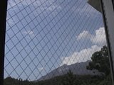 0608231200.jpg