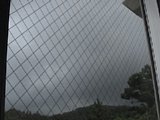 0608310900.jpg