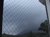 0609021801.jpg