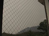 0609050601.jpg