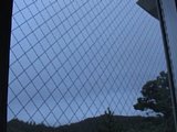 0609060601.jpg