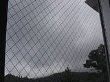 0609061201.jpg