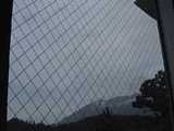 0609101801.jpg