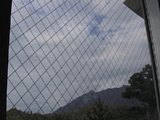 0609200901.jpg