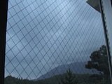 0609210601.jpg