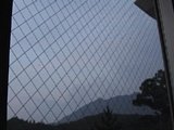 0609300601.jpg