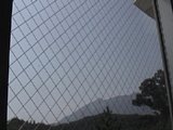 0609301201.jpg
