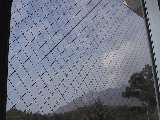 0610010911e.jpg