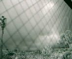 kr_060725090000.jpg