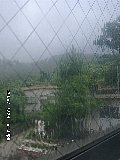 060724_180008.JPG