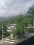 060725_100008.JPG