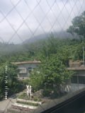 060725_110008.JPG
