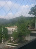 060727_070008.JPG