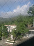 060727_080008.JPG