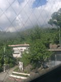 060727_090008.JPG