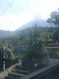 060727_160008.JPG