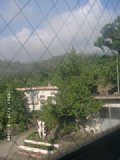 060728_080008.JPG