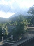 060729_170008.JPG