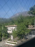 060730_090008.JPG