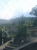060731_160008.JPG
