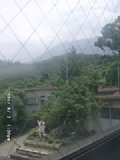 060803_130008.JPG