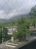 060804_100008.JPG