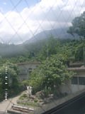 060804_130008.JPG