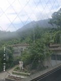 060805_140008.JPG