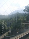 060808_160008.JPG