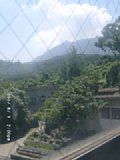 060809_140008.JPG