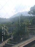 060809_160008.JPG
