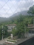 060810_110008.JPG