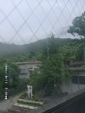 060811_070008.JPG