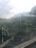 060815_160008.JPG