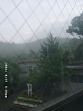 060817_170008.JPG