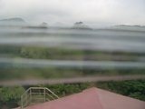 060801_073405.JPG