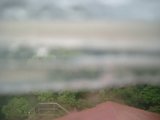 060818_083405.JPG