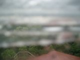 060818_153405.JPG