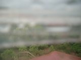 060818_163405.JPG
