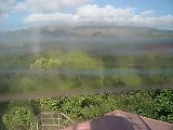 060822_073406.JPG
