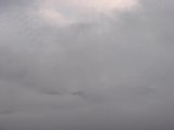 060616_054937.JPG