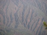 060619_060506.JPG