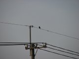 060619_062844.JPG