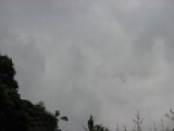 060622_084711.JPG
