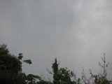 060622_084756.JPG